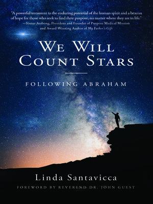 cover image of We Will Count Stars